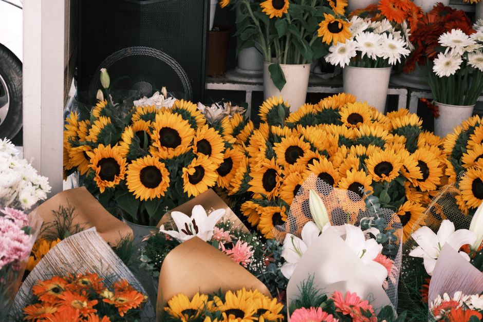 A vibrant display of floral arrangements featuring bright yellow sunflowers with dark centers, arranged in various bouquets wrapped in brown paper and clear cellophane. Surrounding the sunflowers are 